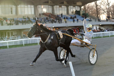 Chuky Roc im Gran Premio Firenze (Foto: equos.it) Chuky Roc im Gran Premio Firenze (Foto: equos.it)