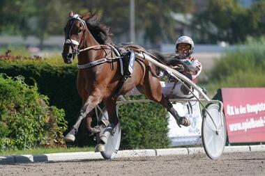 Nicht im Derby Italiano: Cindy Truppo (Foto: Marius Schwarz) Nicht im Derby Italiano: Cindy Truppo (Foto: Marius Schwarz)