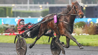 Zwölfter Sieg für Jazzman, der sein Konto auf 363.000 Euro erhöht (Foto: Le Trot)