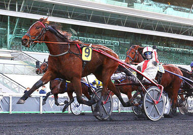 Hanna des Molles und ein jubelnder Alexandre Abrivard (Foto: letrot.com) Hanna des Molles und ein jubelnder Alexandre Abrivard (Foto: letrot.com)