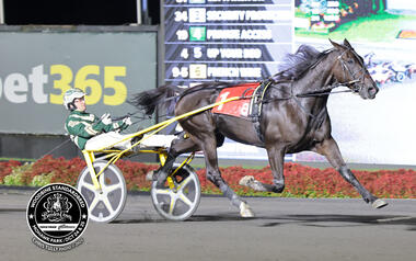 Dan Patch Award für Lexus Cody