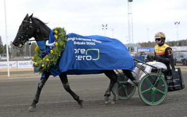 Castor The Star in Bollnäs (Foto: travronden.se) Castor The Star in Bollnäs (Foto: travronden.se)