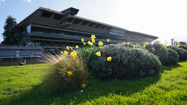Frühlingserwachen in Vincennes (Foto: Le Trot)