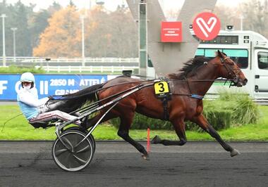 Gently de Muze im GNT-Finale (Foto: letrot.com) Gently de Muze im GNT-Finale (Foto: letrot.com)