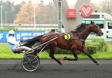 Gently de Muze im GNT-Finale (Foto: letrot.com)