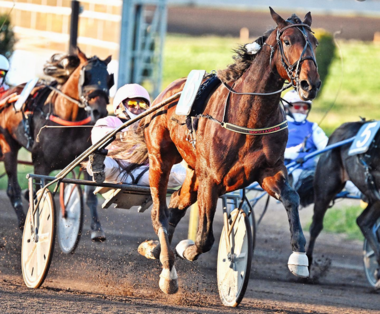 Executiv EK im Gran Premio Tino Triossi (Foto: Facebook Hippodromo Capannelle)