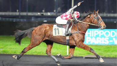 Inès Fraigne jubelt im Prix Yvonnick Bodin (Foto: letrot.com) Inès Fraigne jubelt im Prix Yvonnick Bodin (Foto: letrot.com)
