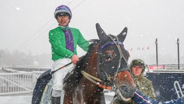 Kurz danach war Schluss in Vincennes: Lionheart mit Eric Raffin (Foto: province-courses.fr) Kurz danach war Schluss in Vincennes: Lionheart mit Eric Raffin (Foto: province-courses.fr)