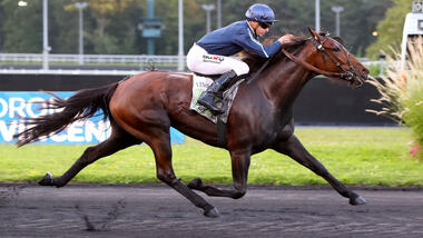 Kaya Dream im Prix Camille de Wazières (Foto: letrot.com)