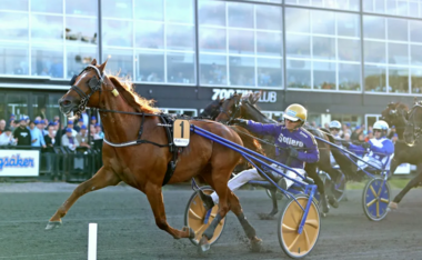 Moni Viking auch im Sundsvall Open Trot (Foto: travronden.se) Moni Viking auch im Sundsvall Open Trot (Foto: travronden.se)