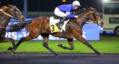Florida Sport im Prix Auguste François (Foto: province-courses.fr) Florida Sport im Prix Auguste François (Foto: province-courses.fr)