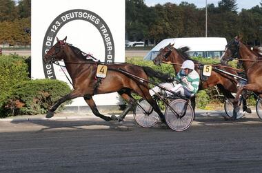 Drei Jahre nach seinem Derbysieg in Berlin ist Mister F Daag eine internationale Größe (Foto: Archiv) Drei Jahre nach seinem Derbysieg in Berlin ist Mister F Daag eine internationale Größe (Foto: Archiv)