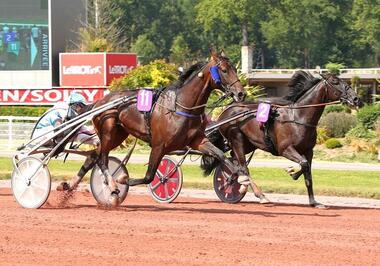 Iway (11) bezwingt Izoard Védaquais (Foto: letrot.com) Iway (11) bezwingt Izoard Védaquais (Foto: letrot.com)