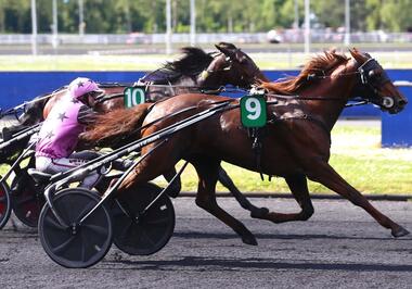 Hooker Berry im Prix Albert Demarcq (Foto: letrot.com) Hooker Berry im Prix Albert Demarcq (Foto: letrot.com)