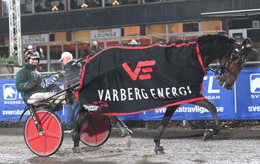 Stens Rubin mit Johan Untersteiner (Foto: Facebook HalmstadTravet) Stens Rubin mit Johan Untersteiner (Foto: Facebook HalmstadTravet)