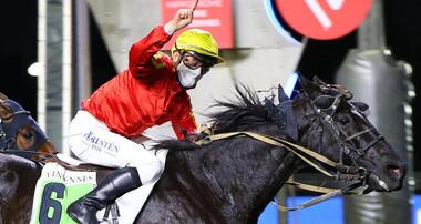 Alexandre Abrivard jubelt über Boss du Meleuc (Foto: equidia.fr) Alexandre Abrivard jubelt über Boss du Meleuc (Foto: equidia.fr)