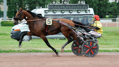 It's a Dollarmaker im Grand Prix du Conseil Municipal (Foto: letrot.com) It's a Dollarmaker im Grand Prix du Conseil Municipal (Foto: letrot.com)