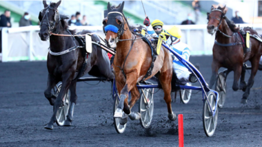 Raffins Jahreserfolg Nr. 347 im Prix Bar-le-Duc (Foto: newsrnd.com)