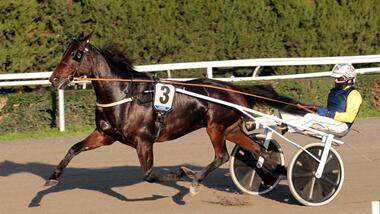 Deimos Racing (Foto: equos.it) Deimos Racing (Foto: equos.it)