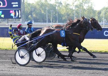 Idao de Tillard springt, Hokkaido Jiel ist zur Stelle (Foto: letrot.com) Idao de Tillard springt, Hokkaido Jiel ist zur Stelle (Foto: letrot.com)
