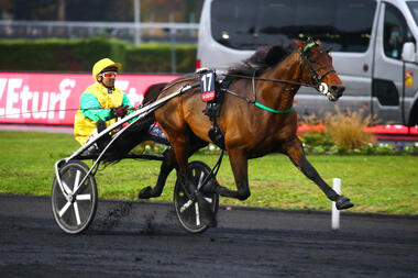 Face Time Bourbon im Prix de Bretagne (Foto: turfomania.com)