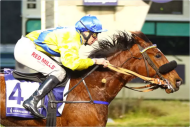 Gazelle de Val im Prix du Calvados (Foto: equidia.fr) Gazelle de Val im Prix du Calvados (Foto: equidia.fr)