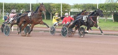 Alcoy vor dem "Pacer" Colonel (Foto: province-courses.fr)