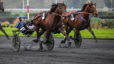 Idao de Tillard imponiert im Prix de Bourgogne (Foto: letrot.com) Idao de Tillard imponiert im Prix de Bourgogne (Foto: letrot.com)