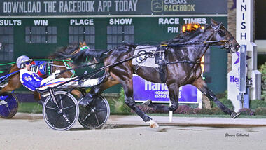 Ein Dreijähriger aus Stahl: Tactical Approach (Foto: standardbredcanada.ca)