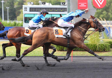 Clegs des Champs im Prix Camille Lepecq (Foto: letrot.com)