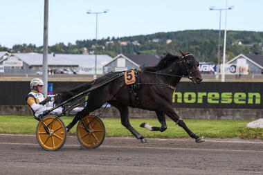 Önas Prince im Ulf Thoresen Grand International (Foto: risktoto.no)