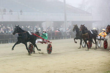 Schwarzer Blitz im Nebel von Modena (Foto: equos.it)