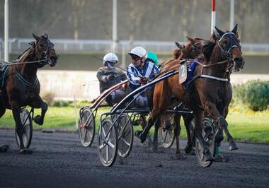 Horsy Dream mit Eric Raffin im Prix de Belgique (Foto: letrot.com) Horsy Dream mit Eric Raffin im Prix de Belgique (Foto: letrot.com)