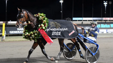 Markus Waldmüller mit Shadow Moon (Foto: Travronden)