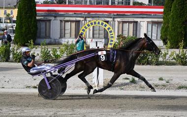 Derby-Sieg Nr. 3 für Christoph Schwarz mit Secret Venus (Foto: krieau.at)