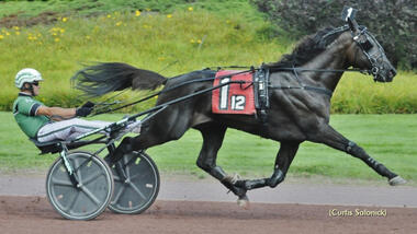 Captain Corey (Foto: standardbredcanada.ca) Captain Corey (Foto: standardbredcanada.ca)