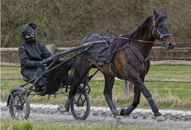 Earl Simon bei der Vorbereitung (Foto: letrot.com) Earl Simon bei der Vorbereitung (Foto: letrot.com)