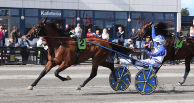 Blé du Gers räumt in Norwegen ab © equidia.fr Blé du Gers räumt in Norwegen ab © equidia.fr