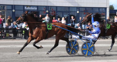 Blé du Gers räumt in Norwegen ab © equidia.fr 