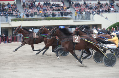 Fotofinish im Gran Premio Continentale (Foto: equos.it)