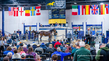 Foto: standardbredcanada.ca Foto: standardbredcanada.ca