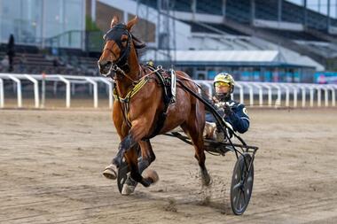 1:09,6 mit Festhalten: Hidalgo Heldia (Foto: Facebook Jägersrotrav) 1:09,6 mit Festhalten: Hidalgo Heldia (Foto: Facebook Jägersrotrav)