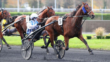 Inexess Bleu im Prix de Chenonceaux (Foto: letrot.com)