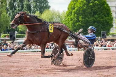 Idao de Tillard im Prix de l'Atlantique (Foto: Equidia)