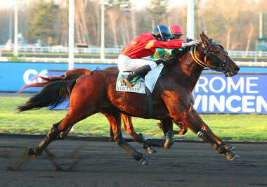 Fado du Chêne musste sich am Ende mächtig strecken (Foto: letrot.com) Fado du Chêne musste sich am Ende mächtig strecken (Foto: letrot.com)