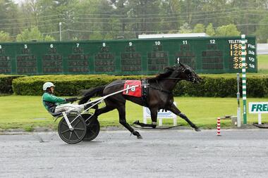 Little Pink Lies im Lady Suffolk Trot (Foto: Facebook Freehold Raceway) Little Pink Lies im Lady Suffolk Trot (Foto: Facebook Freehold Raceway)