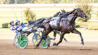 Überraschung bei den Dreijährigen: Sig Sauer hängt Karl ab (Foto: standardbredcanada.ca) Überraschung bei den Dreijährigen: Sig Sauer hängt Karl ab (Foto: standardbredcanada.ca)