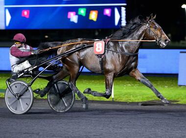 Mit Umschauen: Zweijähriger Just a Gigolo im Prix Louis Cauchois (Foto: province-courses.fr)