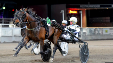 Felix Orlando mit Per Nordström (Foto: travronden.se) Felix Orlando mit Per Nordström (Foto: travronden.se)