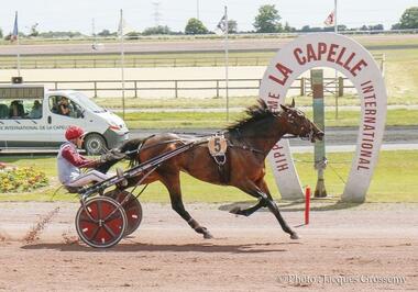Hohneck spaziert durch La Capelle (Foto: Jacques Grossemy/LeTrot) Hohneck spaziert durch La Capelle (Foto: Jacques Grossemy/LeTrot)